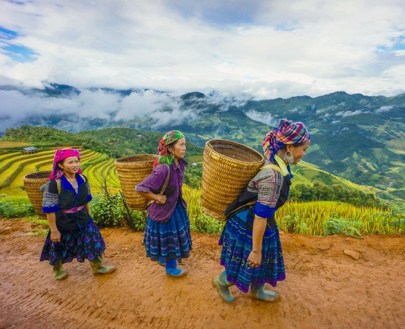 Cốm Tú Lệ ở đâu