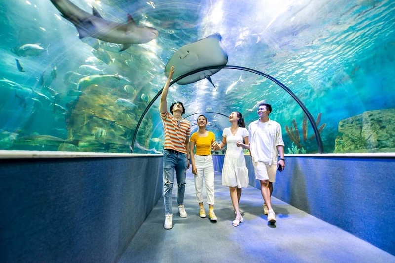 Thủy cung Times City - “Đại dương thu nhỏ” giữa lòng thủ đô